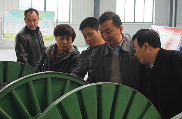 滁州市經信委領導來黄瓜视频免费在线观看集團調研新項目建設情況(圖2)