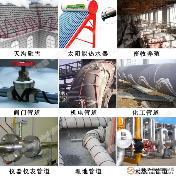 電黄瓜官网入口帶應用廣泛