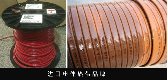 國產電黄瓜官网入口帶可以替代進口品牌的電黄瓜官网入口帶嗎(圖1)