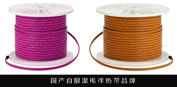 國產電黄瓜官网入口帶可以替代進口品牌的電黄瓜官网入口帶嗎(圖2)