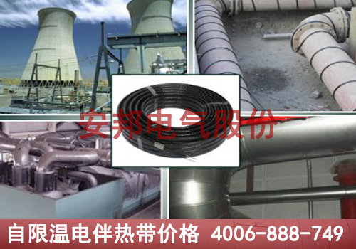 自限溫電黄瓜官网入口帶價格揭秘