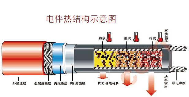 電黄瓜官网入口結構