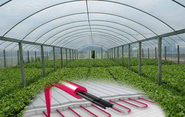 植物栽培電黄瓜官网入口帶保溫促生長
