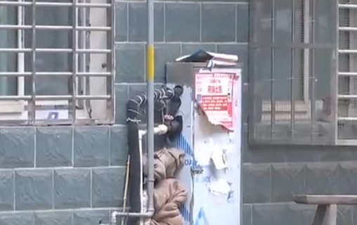 自來水管道保溫電黄瓜官网入口帶，冬季管道防凍新寵(圖2)