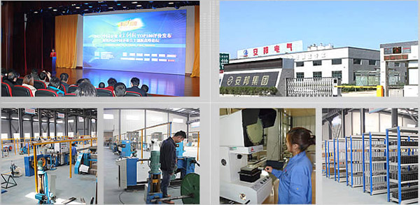 黄瓜视频免费在线观看集團爭做國內一流電黄瓜官网入口帶廠家(圖1)
